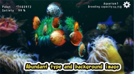 热带鱼水族馆最新版