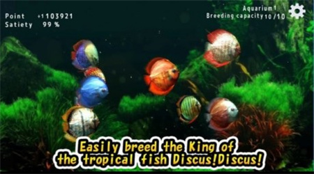 热带鱼水族馆最新版