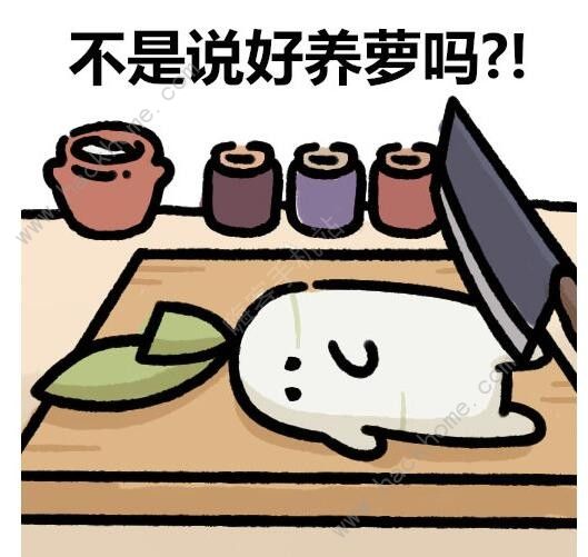 桃源深处有人家萝卜人表情包大全 最新萝卜人表情包图片一览[多图]图片11